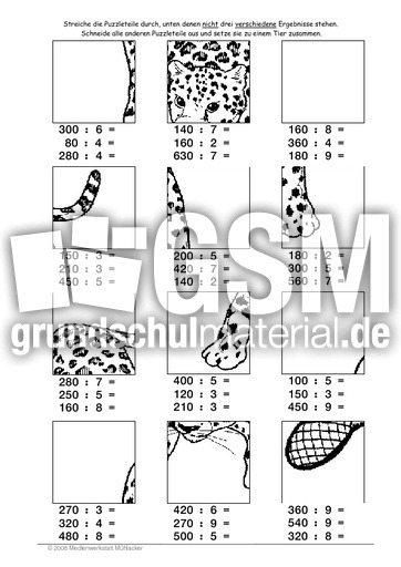 Leopard.pdf